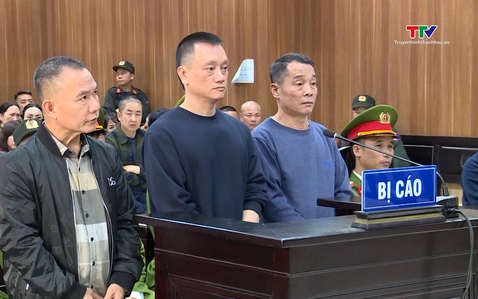 Xét xử Nguyễn Văn Vi (tức Vi “ngộ”) về tội “Đưa hối lộ”