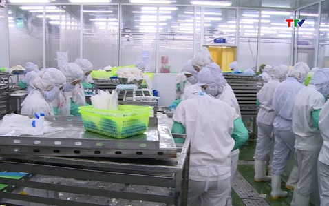 Điều chỉnh chiến lược xuất khẩu nông lâm thủy sản
