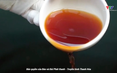 Thanh Hóa - Đi để yêu ngày 30/7/2025
