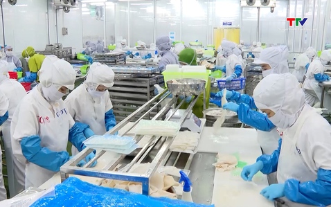 Hướng tới nền nông nghiệp hiện đại, giá trị cao