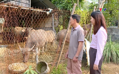 Tín dụng chính sách xã hội - thúc đẩy phát triển kinh tế địa phương