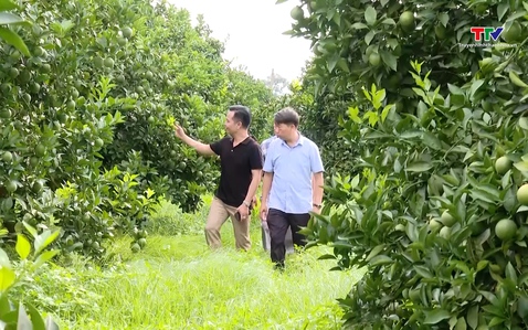 Tăng giá trị kinh tế nông nghiệp