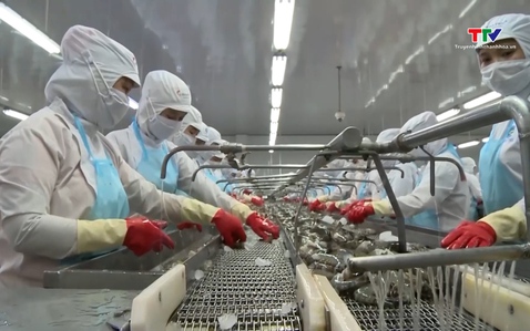 Gần 49 nghìn doanh nghiệp gia nhập thị trường