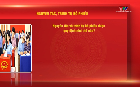 Nguyên tắc, trình tự bỏ phiếu được quy định như thế nào