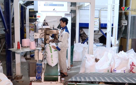 Tín hiệu tích cực cho xuất khẩu gạo sang thị trường Philippines