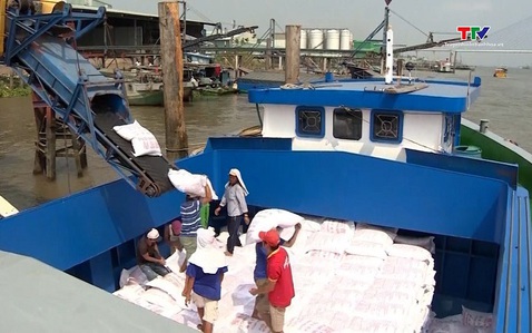 Giá gạo xuất khẩu Ấn Độ và Thái Lan đồng loạt giảm, Việt Nam ổn định