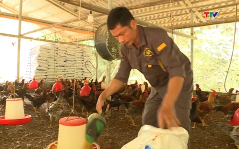 Thanh Hóa đẩy mạnh sản xuất nông nghiệp vụ Xuân 2026 
