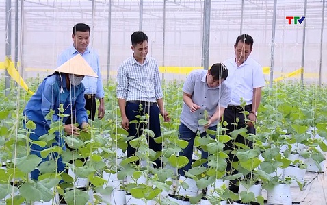 Thanh Hóa tích tụ được hơn 3.230 ha đất nông nghiệp