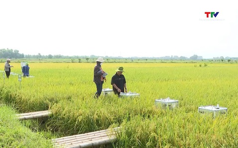 Nút thắt cần tháo gỡ để tín dụng xanh thực sự bứt phá