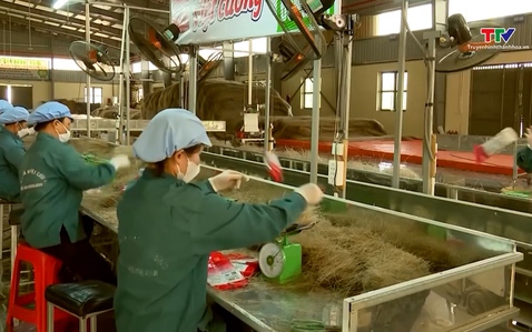 Tái cấu trúc toàn diện để nâng cao giá trị sản xuất nông nghiệp