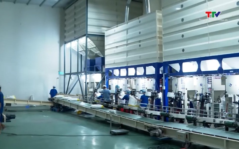 Bỏ giấy phép xuất khẩu gạo - Mở cửa thị trường nhưng cần giữ chuẩn