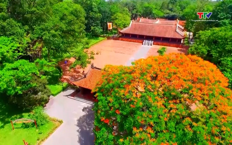Khám phá văn hóa, lịch sử qua những tour du lịch di sản 