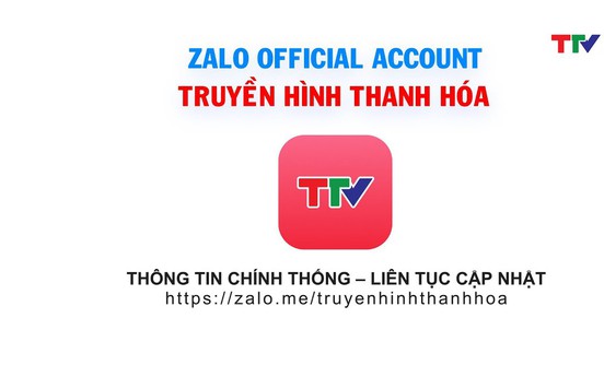 Giới thiệu Zalo Official Account "Truyền hình Thanh Hóa"