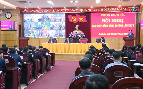 Hội nghị lần thứ 3, Ban Chấp hành Đảng bộ tỉnh khoá XX