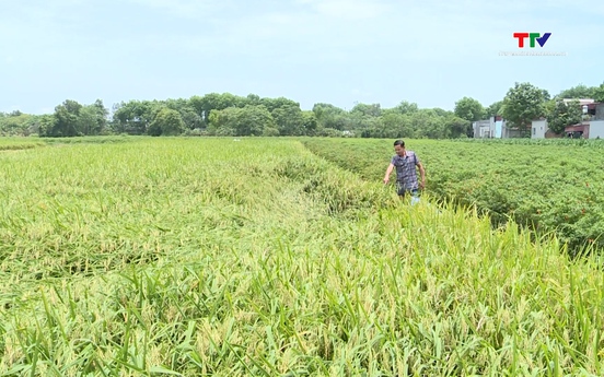 Chủ động các biện pháp ứng phó thời tiết cực đoan