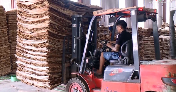 Doanh nghiệp chế biến gỗ và lâm sản nỗ lực tìm kiếm thị trường tiêu thụ