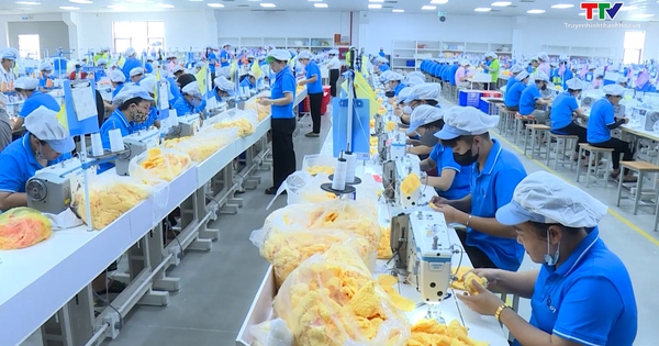 Các công ty tăng tốc sản xuất và mở rộng thị trường vào cuối năm