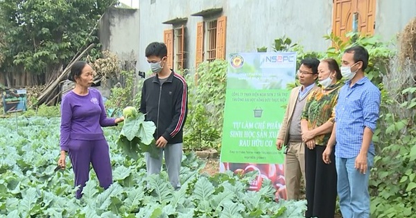 Phân loại, xử lý rác thải sinh hoạt thành phân bón hữu cơ