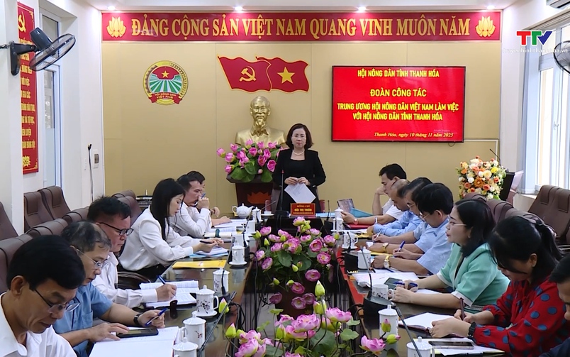 Bản tin Thời sự 9h ngày 11/11/2025