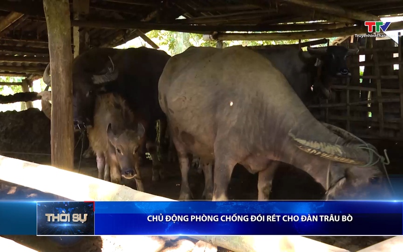 Bản tin Thời sự 9h ngày 19/11/2025