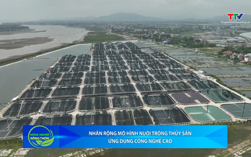 Bản tin Nông nghiệp - Nông thôn ngày 26/11/2025