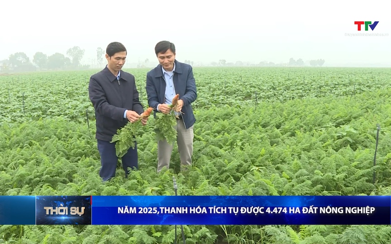 Bản tin Thời sự 14h ngày 14/12/2025