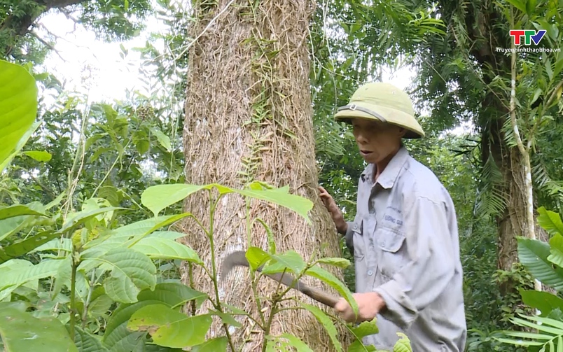 Ký sự miền sơn cước ngày 19/12/2025