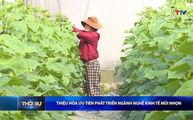 Bản tin Thời sự 14h ngày 24/12/2025