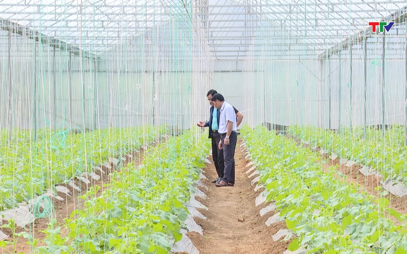 Đảng trong cuộc sống ngày 25/12/2025