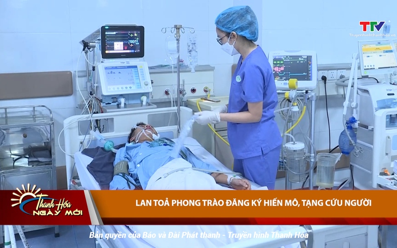 Thanh Hóa ngày mới ngày 11/6/2025