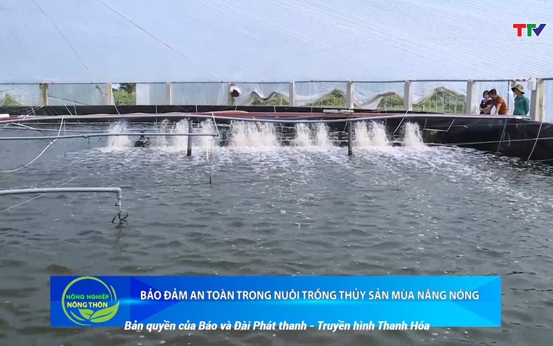 Bản tin Nông nghiệp – Nông thôn 28/6/2025