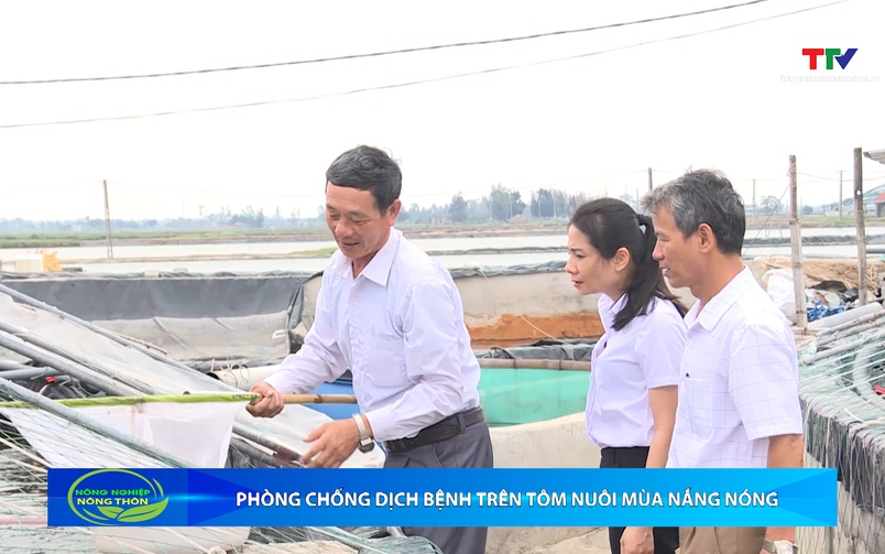 Bản tin Nông nghiệp – Nông thôn ngày 2/7/2025