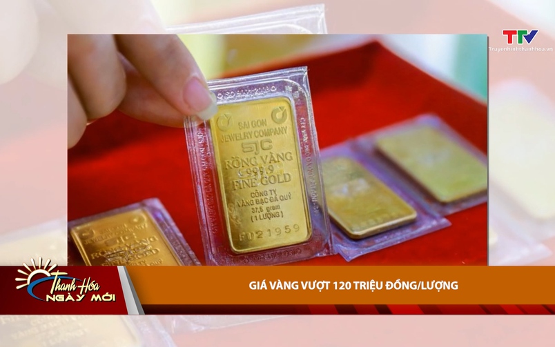 Bản tin Thời sự Thanh Hóa ngày mới 03/7/2025