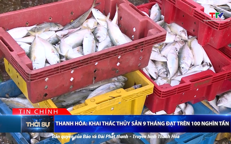 Bản tin Thời sự tối 20/9/2025
