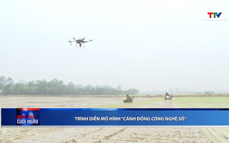 Bản tin Thời sự cuối ngày 17/01/2026