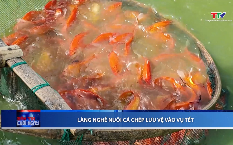 Bản tin Thời sự cuối ngày 21/01/2026