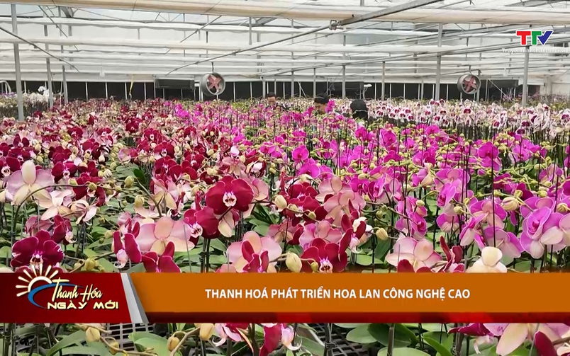 Thanh Hóa ngày mới ngày 23/01/2026