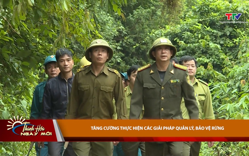 Thanh Hóa ngày mới ngày 25/01/2026