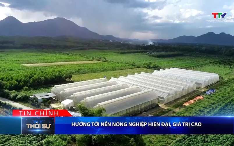 Bản tin Thời sự tối 03/01/2026