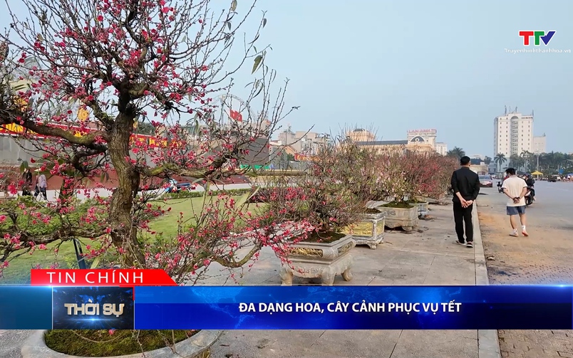 Bản tin Thời sự tối 30/01/2026