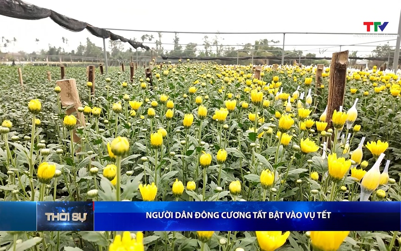 Bản tin Thời sự tối 07/01/2026