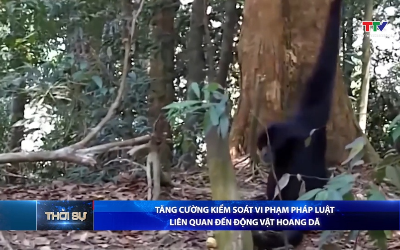 Bản tin Thời sự 14h ngày 01/02/2026