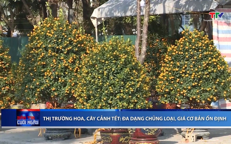 Bản tin Thời sự cuối ngày 01/02/2026 