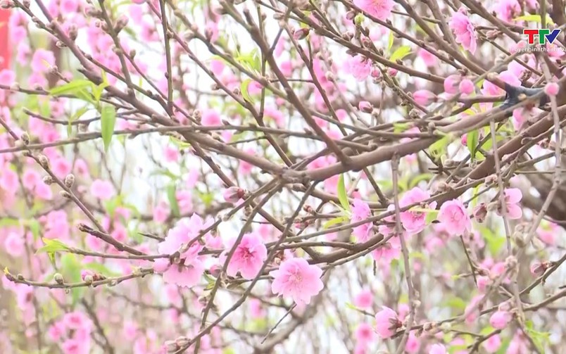 Bản tin Thời sự 9h ngày 02/02/2026