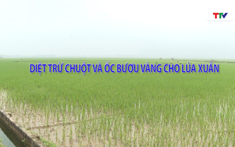Khuyến nông 24/02/2026