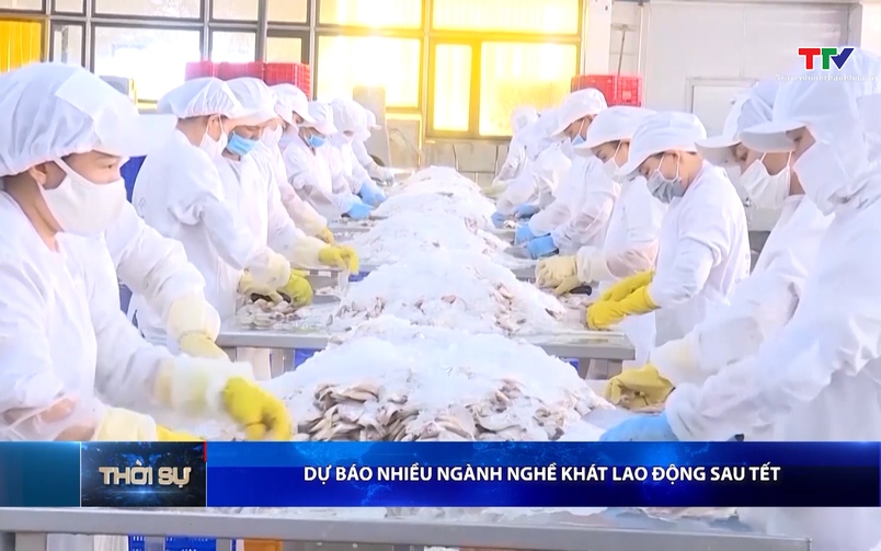 Bản tin Thời sự 16h ngày 24/02/2026