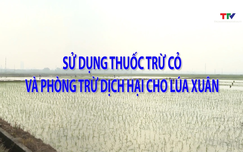 Khuyến nông 03/02/2026
