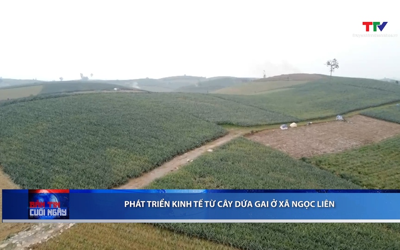 Bản tin Thời sự cuối ngày 08/02/2026