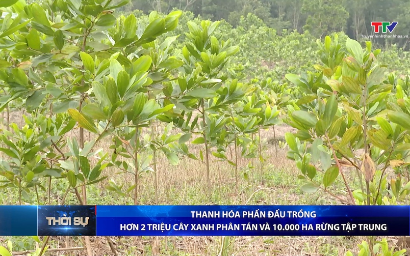 Bản tin Thời sự 14h ngày 11/03/2026