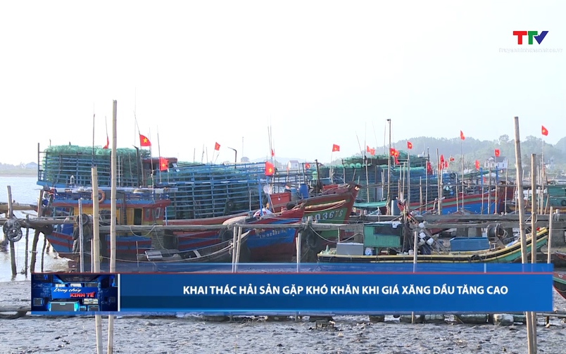 Bản tin Dòng chảy kinh tế ngày 18/03/2026